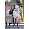 Mr. Feel Warm Saddle Cloth
